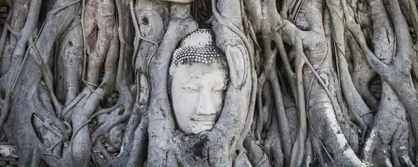 Buddha head held by tree roots at Wat Mahathat in Ayutthaya