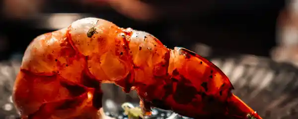 2 Michelin Star Restaurants in Bangkok