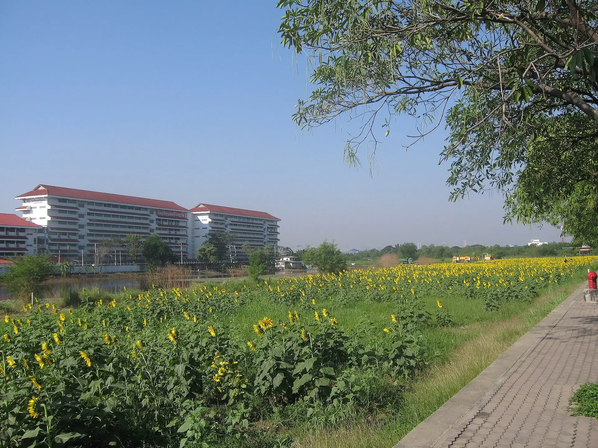 Lat Phrao