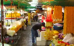 Pak Khlong Talat