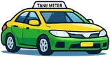 Metered Taxis